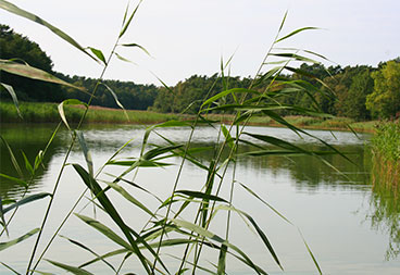 Talsperre Meinerzhagen